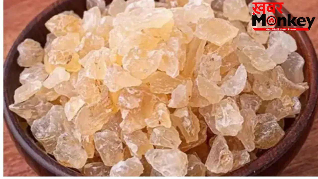 Gond Katira Benefits:गर्मी के मौसम में गोंद कतीरा खाने के क्या फ़ायदे हैं? जानिए और आज़मा कर देखिए
