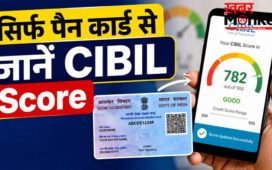 How to Check CIBIL Score Online : घर बैठे पैन कार्ड की मदद से 2 मिनट में जानें अपना सिबिल स्कोर