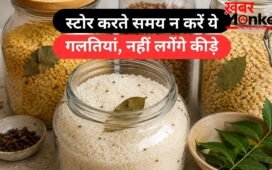 गर्मी और उमस में जल्दी खराब हो रहा है राशन, तेजपत्ता से लेकर नीम तक; कीड़ों से बचाने के ये घरेलू उपाय जानिए
