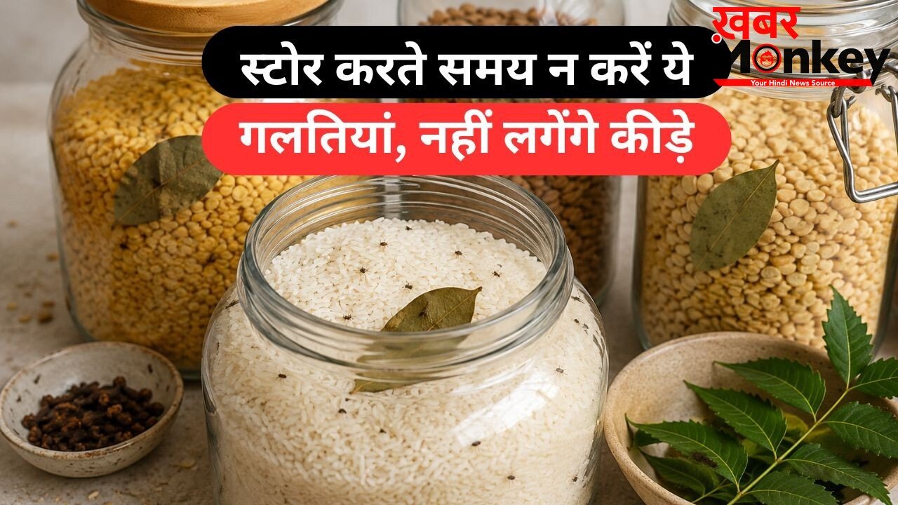 गर्मी और उमस में जल्दी खराब हो रहा है राशन, तेजपत्ता से लेकर नीम तक; कीड़ों से बचाने के ये घरेलू उपाय जानिए