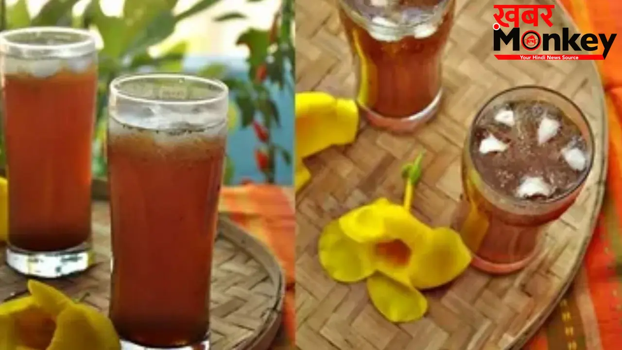 Imli Panna For Summer : खतरनाक गर्मी में लू और डिहाइड्रेशन से बचाएगा इमली पन्ना, जानिए बनाने का तरीका