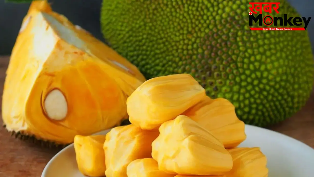 Jackfruit Superfood: स्वाद में लाजवाब और पोषक तत्वों से भरपूर है कटहल, आज ही करें डाइट में शामिल