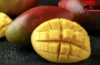 Mango In Diabetes: डायबिटीज के मरीज भी चख सकते हैं आम का स्वाद, जानिए कब और कितना खाएं