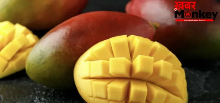 Mango In Diabetes: डायबिटीज के मरीज भी चख सकते हैं आम का स्वाद, जानिए कब और कितना खाएं Mango In Diabetes: डायबिटीज के मरीज भी चख सकते हैं आम का स्वाद, जानिए कब और कितना खाएं