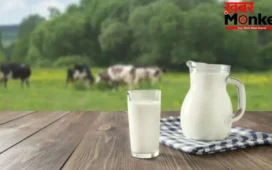 Summer Health Tips: गर्मी में इस तरह से पीएंगे दूध तो हीटवेव से बचे रहेंगे, आयुष मंत्रालय ने बताया देसी नुस्खा