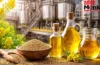 Mustard Oil Benefits: सरसों के तेल के इतने फायदे जानकर आप भी चौंक जाएंगे, जानें एक्सपर्ट की राय