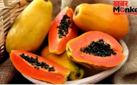 Papaya Benefits: पपीता के फ़ायदे जानकर हो जाएंगे हैरान! हड्डी ही नहीं बालों के लिए भी संजीवनी से कम नहीं