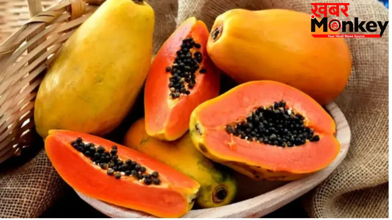 Papaya Benefits: पपीता के फ़ायदे जानकर हो जाएंगे हैरान! हड्डी ही नहीं बालों के लिए भी संजीवनी से कम नहीं
