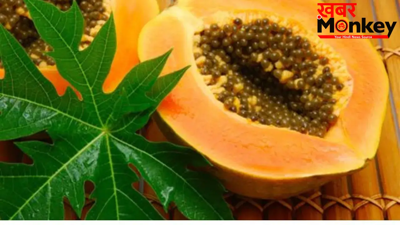 Papaya Leaves Benefits: डेंगू ही नहीं, कई और मामलों के लिए पपीते के पत्ते हैं ‘संजीवनी बूटी’, आज़मा कर देखिए