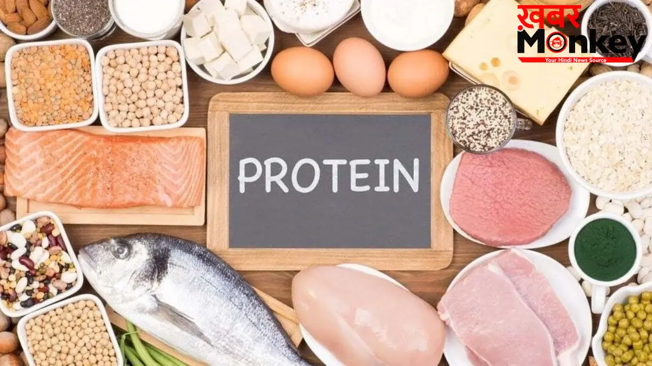 Protein Deficiency: बार-बार थकान व कमजोरी, कहीं प्रोटीन की कमी तो नहीं; कैसे पहचानें और क्या खाएं