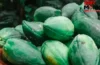 Raw Papaya Benefits: सुबह-सुबह खाली पेट कच्चा पपीता खाने के फ़ायदे जानकर रह जाएंगे हैरान! आज़मा कर भी देखिए Raw Papaya Benefits: सुबह-सुबह खाली पेट कच्चा पपीता खाने के फ़ायदे जानकर रह जाएंगे हैरान! आज़मा कर भी देखिए