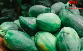 Raw Papaya Benefits: सुबह-सुबह खाली पेट कच्चा पपीता खाने के फ़ायदे जानकर रह जाएंगे हैरान! आज़मा कर भी देखिए