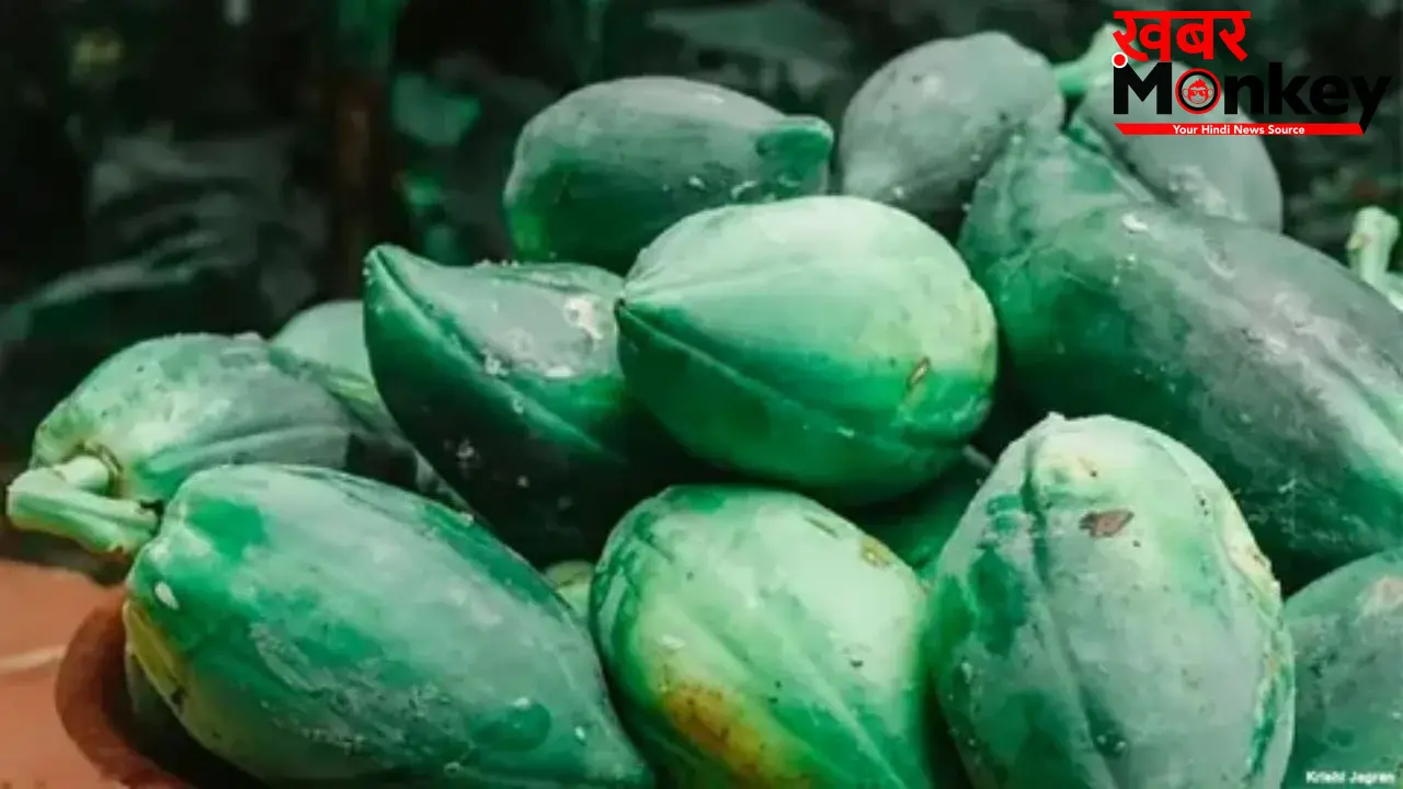 Raw Papaya Benefits: सुबह-सुबह खाली पेट कच्चा पपीता खाने के फ़ायदे जानकर रह जाएंगे हैरान! आज़मा कर भी देखिए