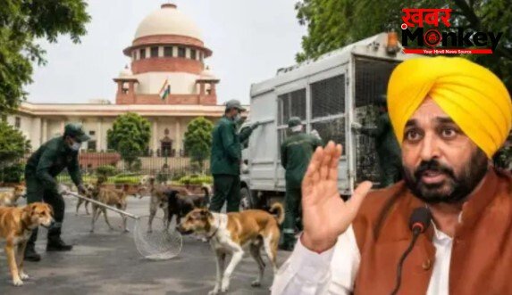 सुप्रीम कोर्ट के आदेशों को लागू करेगी पंजाब सरकार, आवारा कुत्तों की देखभाल के लिए बनाए जाएंगे डॉग शेल्टर