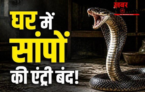 घर में सांपों की एंट्री रोकने के लिए कुछ तरीके