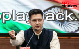 राघव चड्ढा से Gen Z का क्यों हुआ मोहभंग? परिणीति चोपड़ा से शादी के बाद से ही बदलने लगा मिजाज