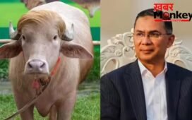 ‘डोनाल्ड ट्रंप’ भैंसे की बांग्लादेश में नहीं दी जाएगी कुर्बानी, तारिक रहमान सरकार ने लिया फैसला