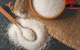 Sugar Export Ban: चीनी का एक्सपोर्ट हुआ बंद, क्या बदलेगी चाय की मिठास, ये हैं 6 हेल्दी स्वीटनर ऑप्शन