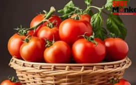 Tomato Storage Tips: टमाटर को सड़ने से बचाएंगी ये 5 आसान किचन ट्रिक्स, भयंकर गर्मी में भी दिखेंगे एकदम ताज़ा