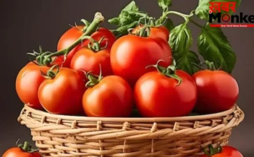 Tomato Storage Tips: टमाटर को सड़ने से बचाएंगी ये 5 आसान किचन ट्रिक्स, भयंकर गर्मी में भी दिखेंगे एकदम ताज़ा