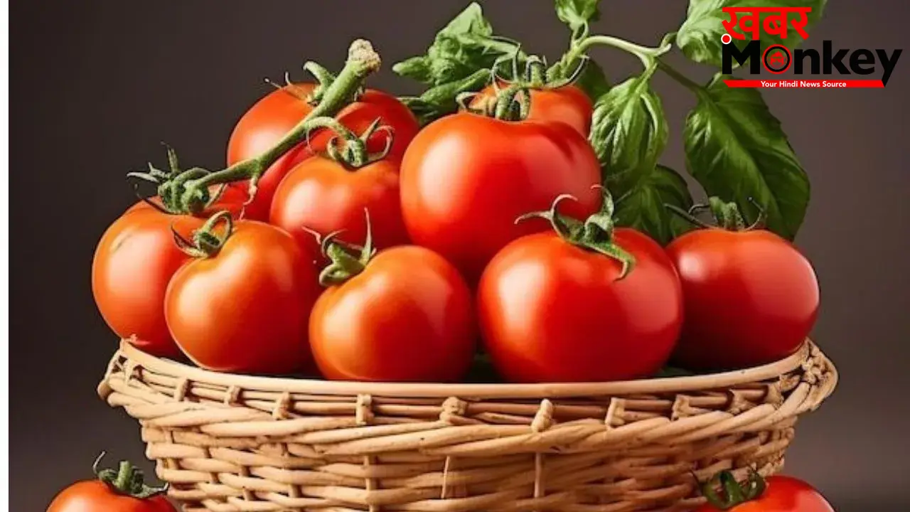 Tomato Storage Tips: टमाटर को सड़ने से बचाएंगी ये 5 आसान किचन ट्रिक्स, भयंकर गर्मी में भी दिखेंगे एकदम ताज़ा