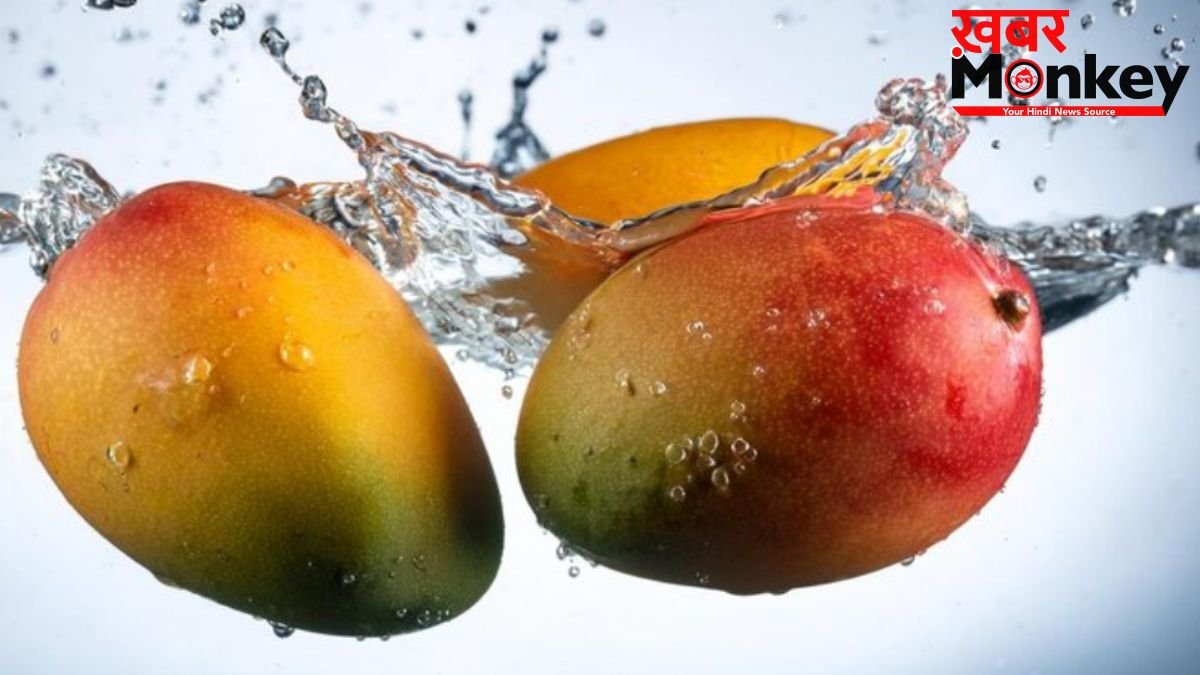 खाने से 30 मिनट पहले आम को पानी में क्यों भिगोकर रखना चाहिए? क्या है इसके पीछे की साइंटिफिक वजह