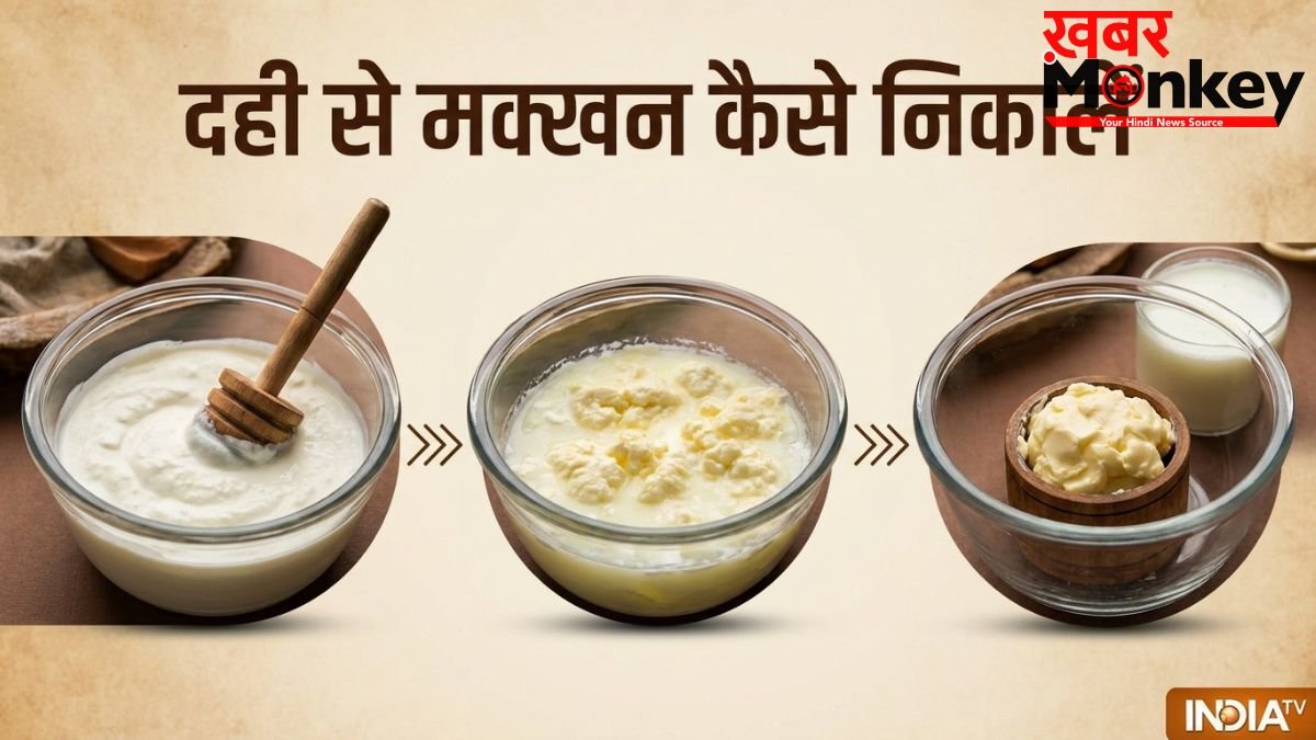 दही से मक्खन कैसे निकालें? बर्फ वाली ट्रिक से मिनटों में निकलेगा देसी Butter