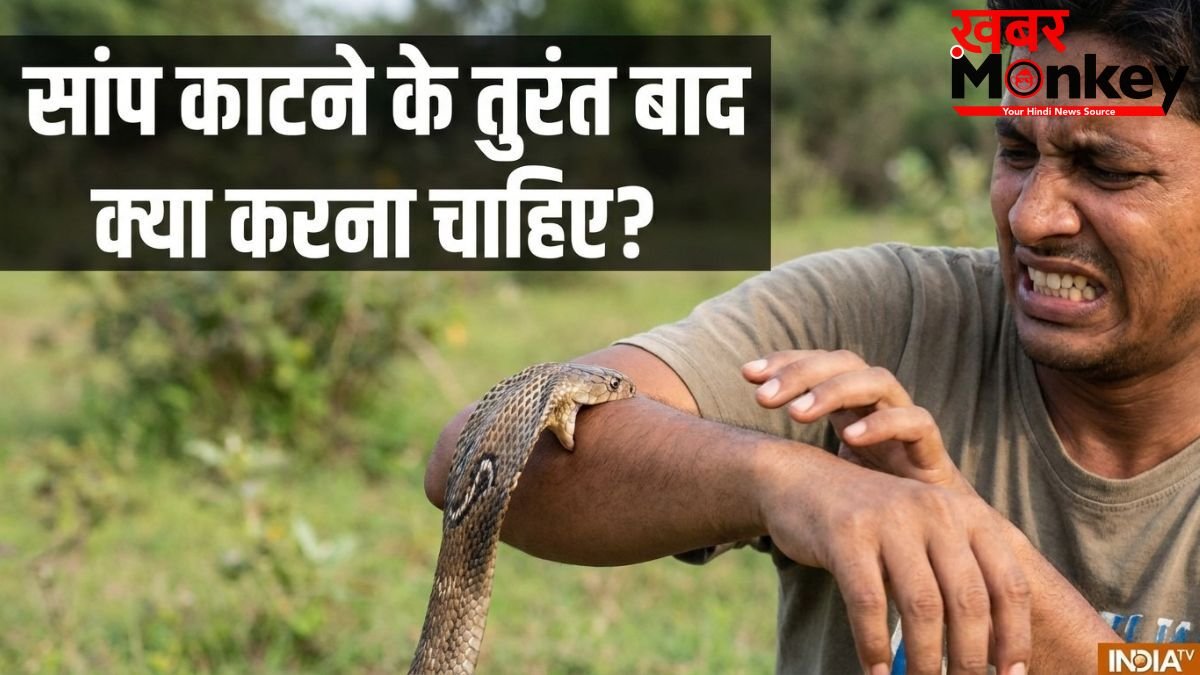 सांप काटने के तुरंत बाद क्या करना चाहिए? ये बातें बचा सकती है आपकी जान