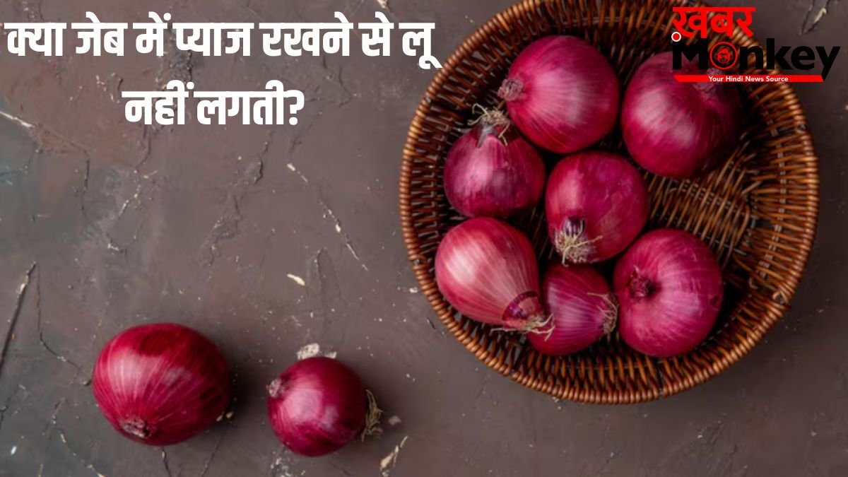 क्या जेब में प्याज रखने से लू नहीं लगती? जानें इसके पीछे की सच्चाई