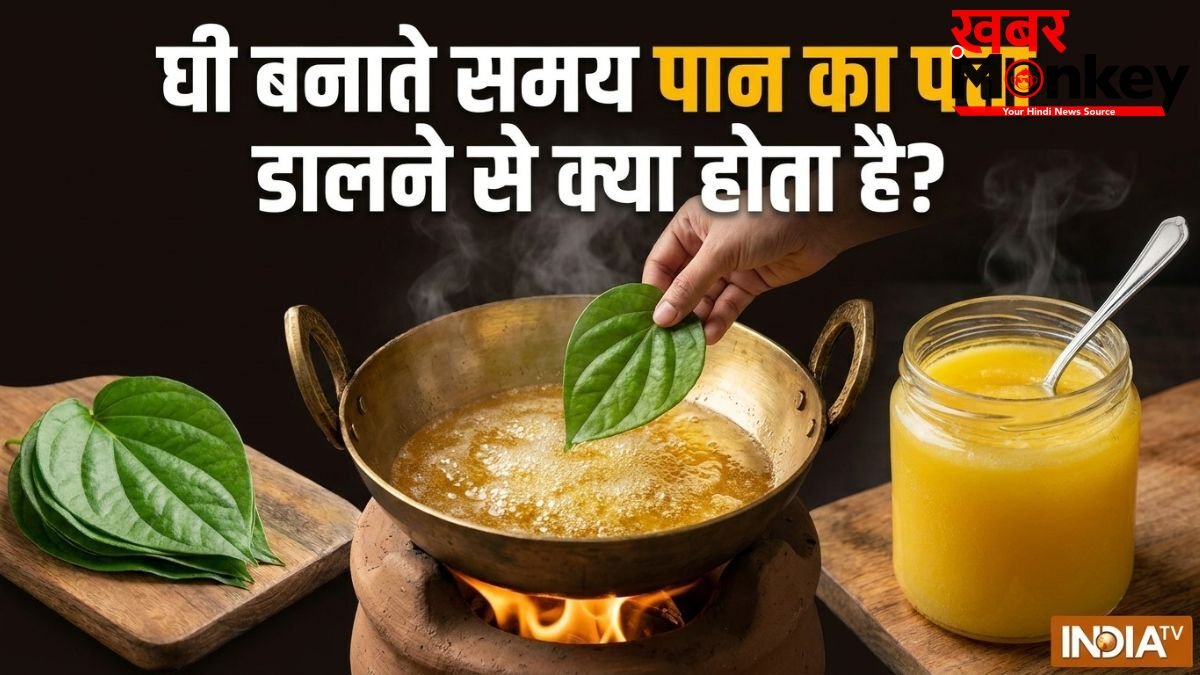 घी बनाते समय पान का पत्ता डालने से क्या होता है? जानें इस्तेमाल करने का सही तरीका