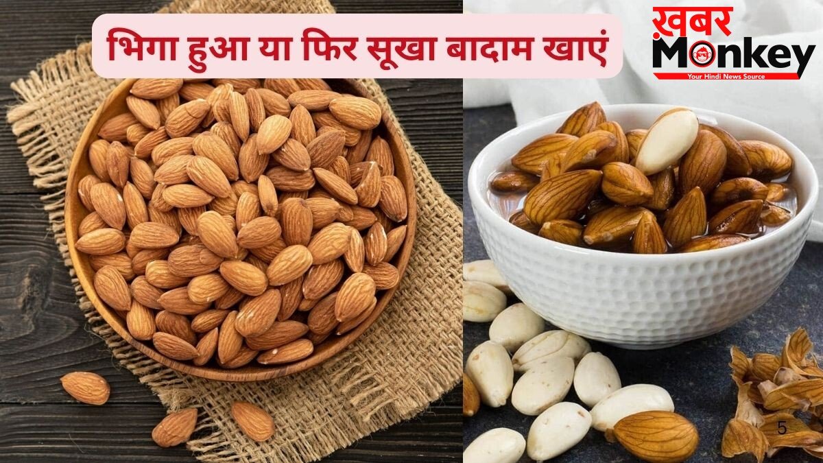 रोज 5 बादाम भिगोकर खाने से शरीर में क्या होता है? एक्सपर्ट से जानिए इसके फायदे और तरीका