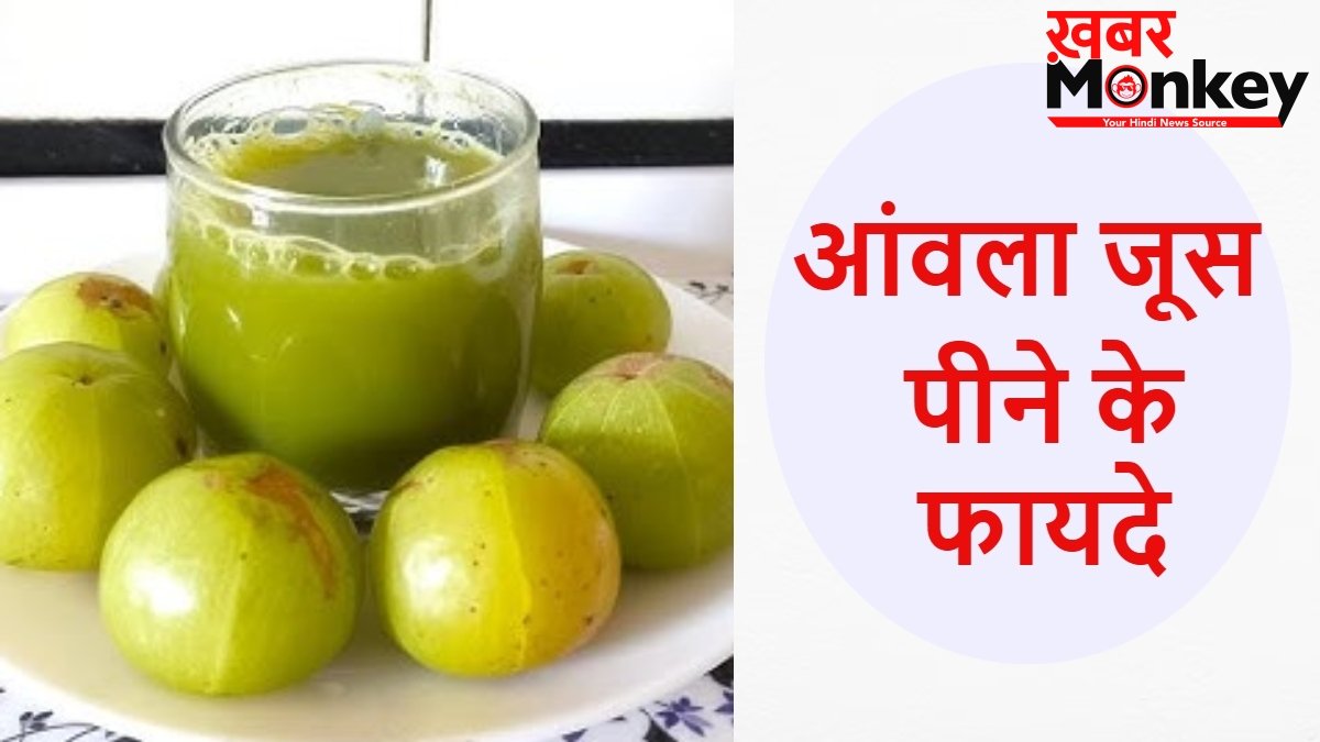 खाली पेट पिएं आंवला जूस, तेजी से कम होने लगेगा वजन, कम हो जाएगा कई बीमारियों का खतरा