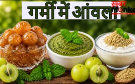 गर्मी में आंवला कैसे खाना चाहिए, जानिए इसे खाने से क्या फायदे मिलते हैं, कैसी होती है आंवला की तासीर
