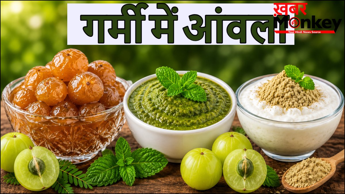 गर्मी में आंवला कैसे खाना चाहिए, जानिए इसे खाने से क्या फायदे मिलते हैं, कैसी होती है आंवला की तासीर
