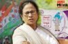 TMC सरकार जाते ही बंगाल में आने लगा पैसा, अमूल कर सकती है 650 करोड़ का निवेश!