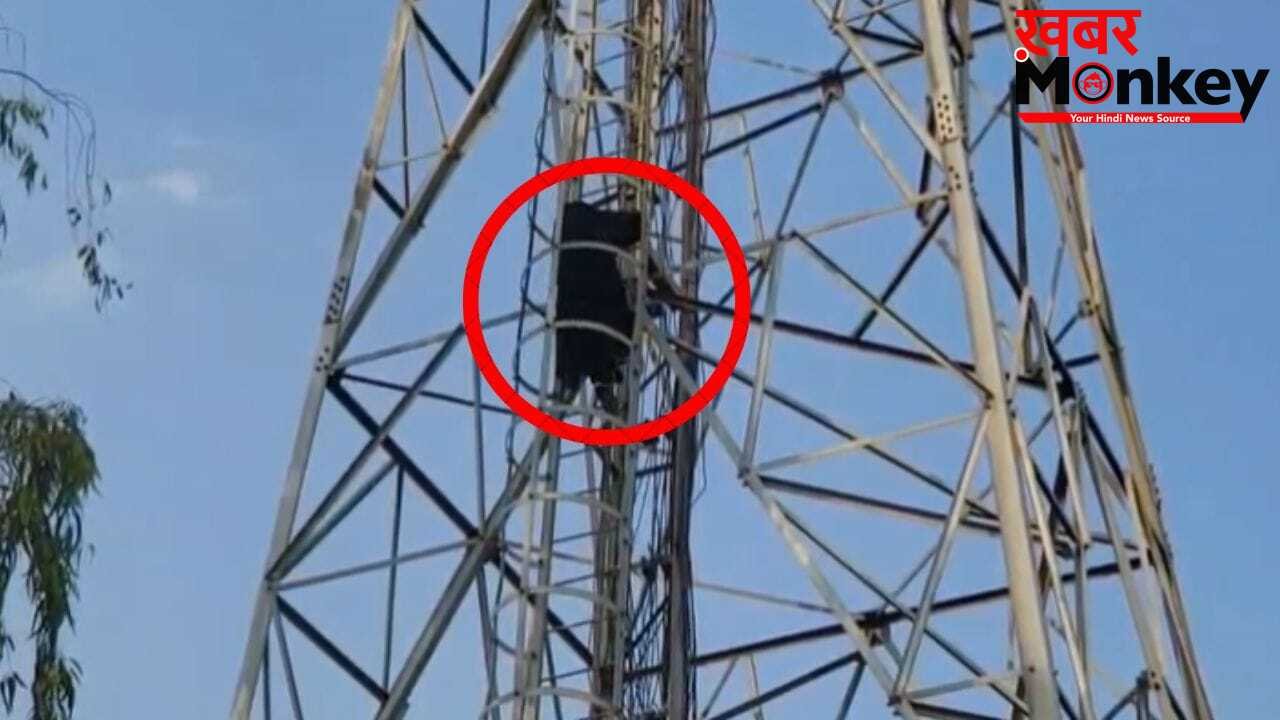 प्रेमी बेंगलुरु में, प्रेमिका बस्ती के टावर पर… 7 घंटे चला ड्रामा, बोली- शादी करो नहीं तो जान दे दूंगी