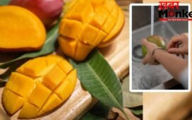 Mango Eating Tips: खाने से पहले आम को भिगोना क्यों है जरूरी? इसके फायदे भी जान लें
