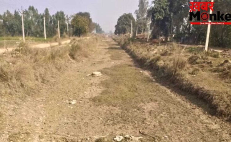 सूखी नहरों को लेकर बिजनौर में किसानों की चेतावनी, पानी नहीं पहुंचा तो करेंगे तालाबंदी