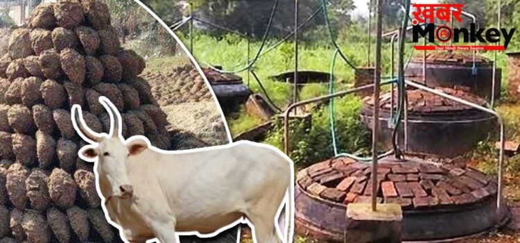 गौमाता करेंगी बेड़ा पार, ईरान-अमेरिका युद्ध का ऐसे नहीं होने देंगी भारत पर असर