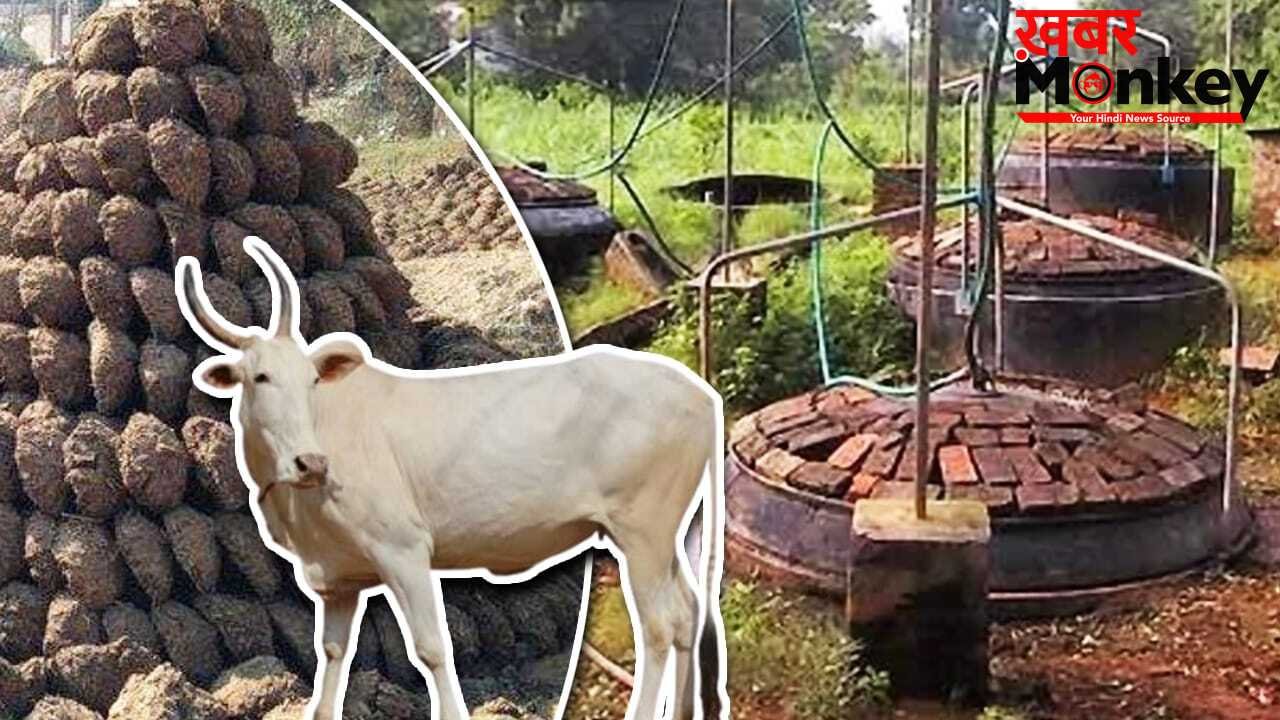 गौमाता करेंगी बेड़ा पार, ईरान-अमेरिका युद्ध का ऐसे नहीं होने देंगी भारत पर असर