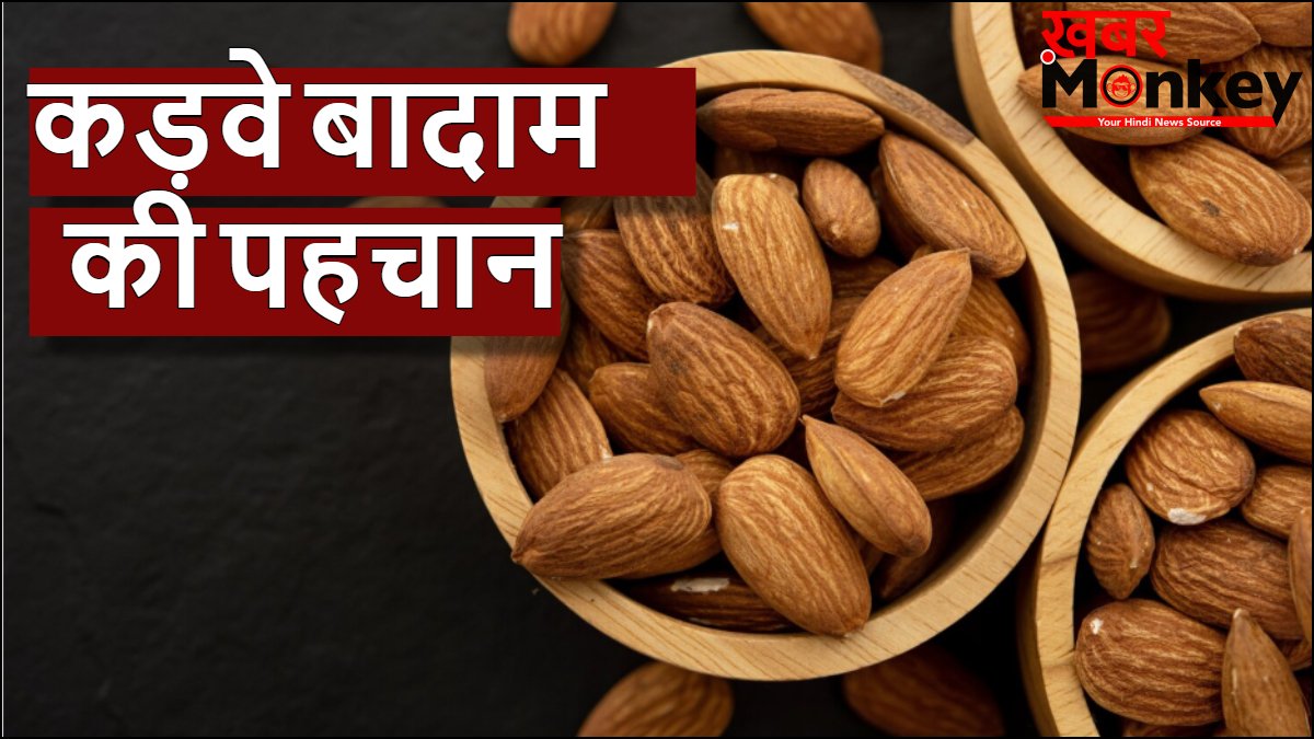 कड़वे बादाम की पहचान कैसे करें, स्वाद के अलावा बनावट में होता है अंतर, खरीदते वक्त ध्यान रखें ये टिप्स