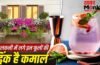 नारियल पानी-छाछ जाएंगे भूल! गर्मियों में पिएं इन फूलों की ड्रिंक, मिलेंगे ढेरों फायदे