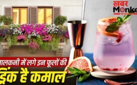 नारियल पानी-छाछ जाएंगे भूल! गर्मियों में पिएं इन फूलों की ड्रिंक, मिलेंगे ढेरों फायदे