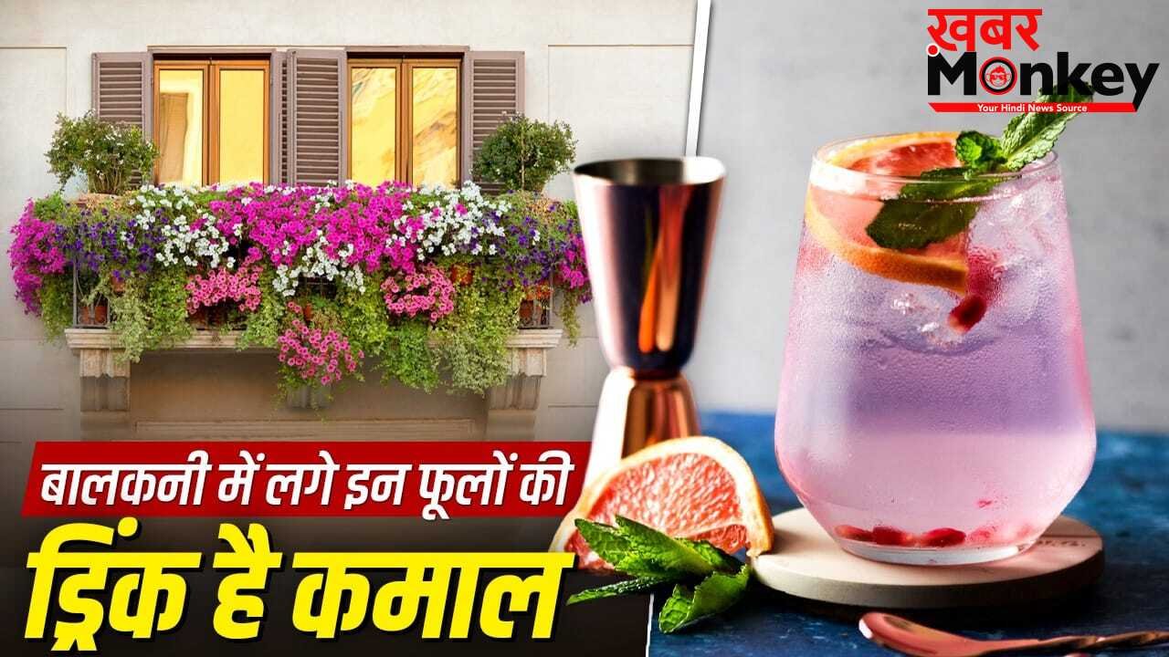नारियल पानी-छाछ जाएंगे भूल! गर्मियों में पिएं इन फूलों की ड्रिंक, मिलेंगे ढेरों फायदे