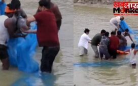 UP News: 13 घंटे के रेस्क्यू के बाद मिली वन विभाग और TSA की टीम को सफलता, डॉल्फिन को सुरक्षित निकाला बाहर…