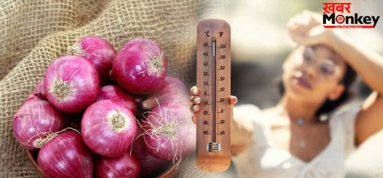Heatstroke Myths: जेब में प्याज रखने से क्या लू से बचाव होता है? एक्सपर्ट ने दिया इसका जवाब