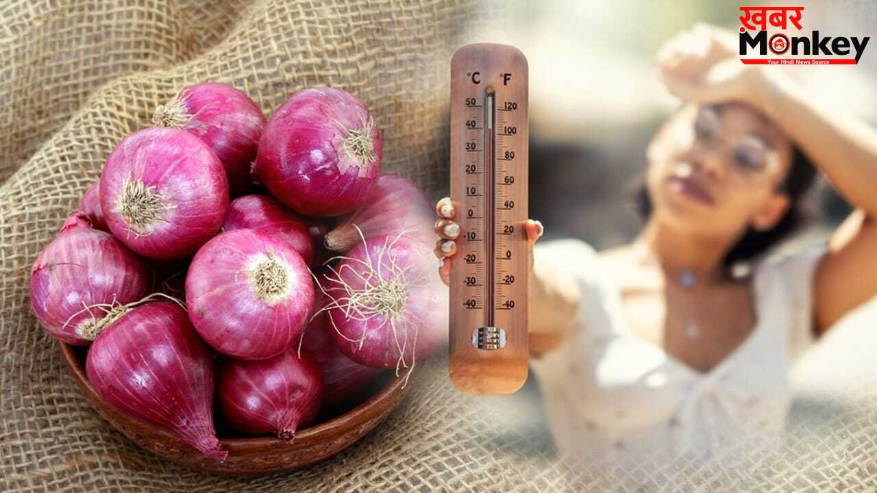 Heatstroke Myths: जेब में प्याज रखने से क्या लू से बचाव होता है? एक्सपर्ट ने दिया इसका जवाब