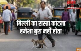 बिल्ली का रास्ता काटना हमेशा अशुभ नहीं! अगर इस दिशा में जाए बिल्ली, तो समझें खुलने वाली है आपकी किस्मत