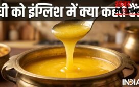 क्या आप जानते हैं घी को इंग्लिश में क्या बोलते हैं, जो लोग नहीं जानते सही जवाब, जरूर पढ़ लें