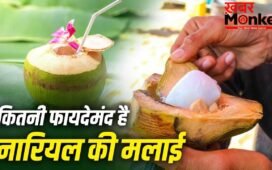 Coconut Malai Nutrients: क्या नारियल की मलाई भी देती है शरीर को फायदे? जानें इसके पोषक तत्व